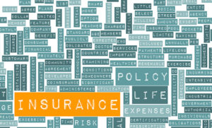 An insurance terminology word cloud