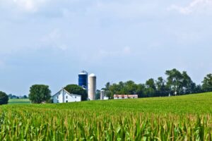 A farm protected by a farmowners insurance policy